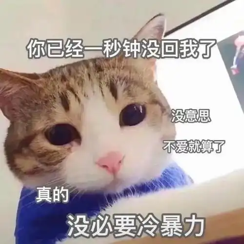  表情包你已经一秒钟没回我了,不爱就算了没必要冷暴力