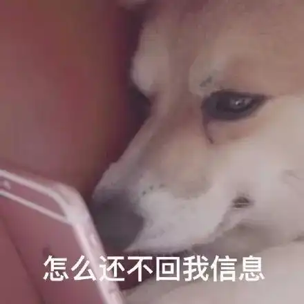 舔狗图片表情包小狗