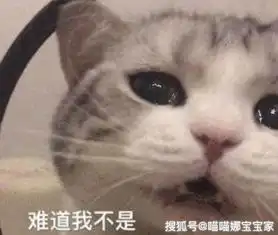  喜怒形于色,不遮不掩的星座