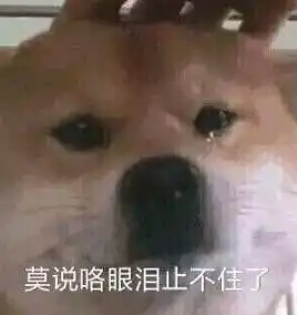  碰瓷碰到狗身上更多奇葩骗局你不敢想