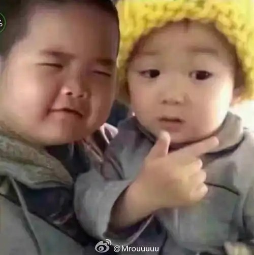  杂收藏夹