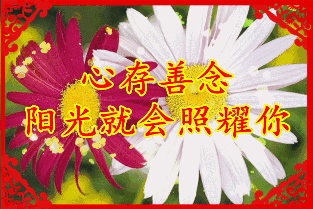  特漂亮的早上好动图表情早上好问候语表情图片大全