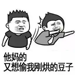 节操表情包何在