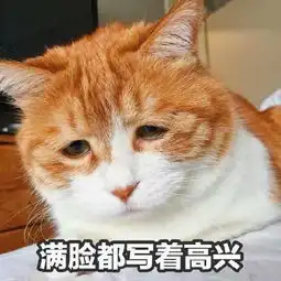  求问这只一脸悲伤的表情包的猫的名字