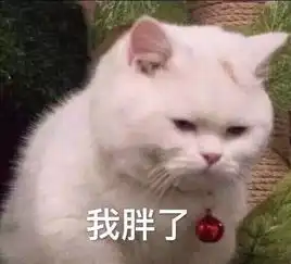  朋友圈精致女孩的日常,内容真实到被偷窥一般...