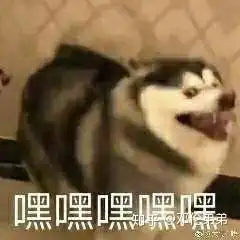  记录第一次光鲜故事