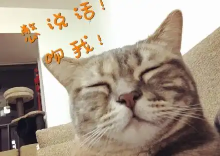  猫奴们的福利来啦一大波表情包来袭,快快收藏起来