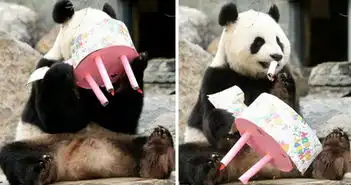草地养动物表情包生日