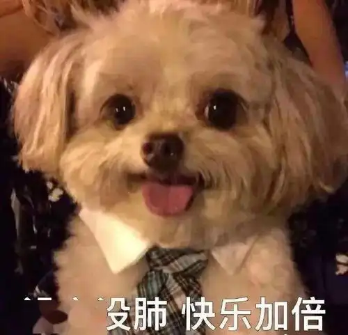  为什么这里又红又干看完这篇就懂了
