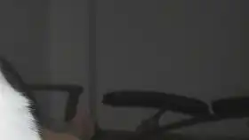  天哪半夜捡到一只大橘网红猫咪表情包出没这么不认生的猫up主还是第一次见