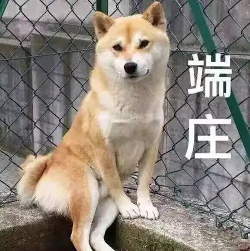  巧秒电子邮件策略将你的形象提到两米八