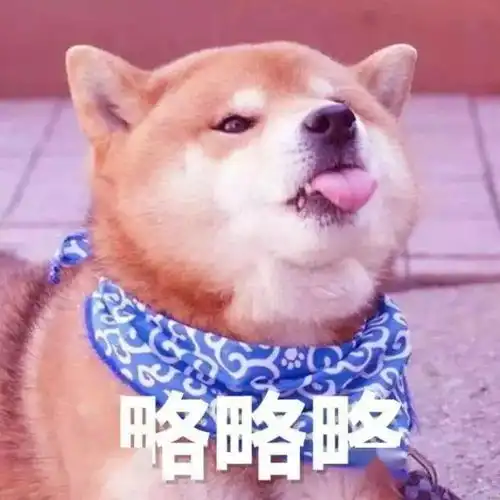  今日趣味题仔细看图,图上上没有哪种动物