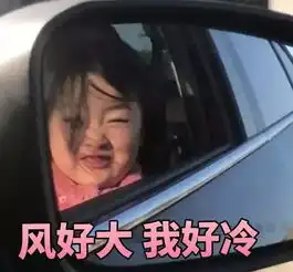 谢谢的可爱表情包谢飞机