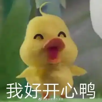 各个表情包的意思小黄鸭
