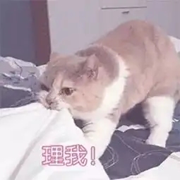  撒娇专用表情包咬你,大坏蛋
