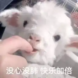 精致生活必备宝贝院院为你列清单