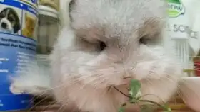  睡醒了伸伸懒腰