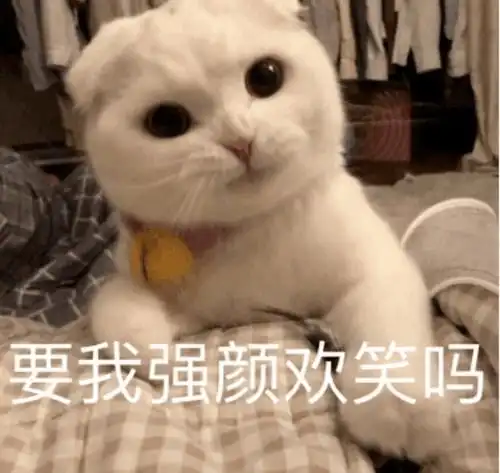  e句话看天下丨赵婷获金球奖最佳导演,宋丹丹高兴坏了