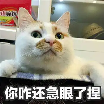 想念在喵星的楼楼小天使网红猫楼楼表情包