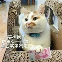  68万粉丝网红猫楼楼去世来看站着便便的社会你猫哥搜狐游戏搜狐网