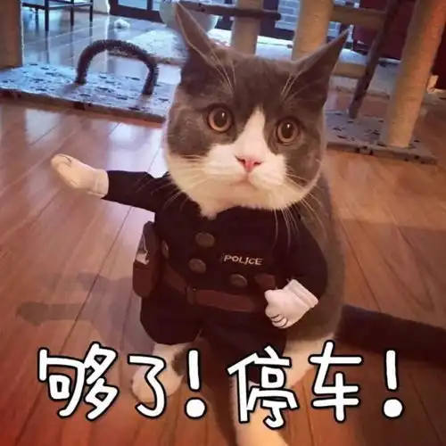  2018娱乐圈谁贡献了刚人刚语