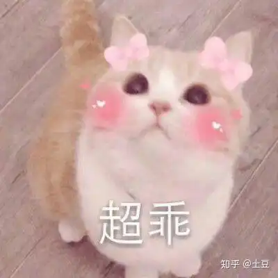  有一个可爱的男朋友是什么感觉