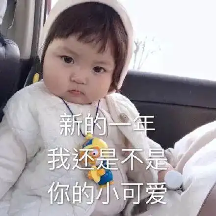 讨生活费表情包搞笑老婆