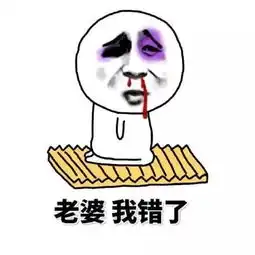  表情包老婆大人,我知道错了