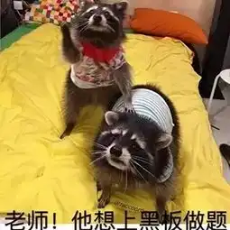  连汉字你都认不全还留什么学