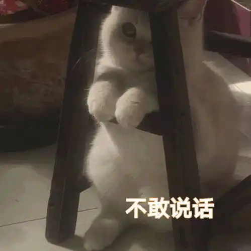  分享小事