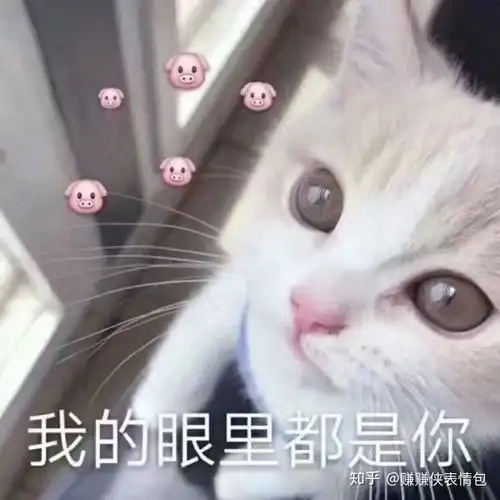  黄夏温表情包图片我错了,下次绝不会改