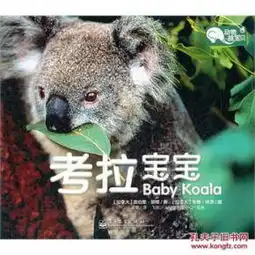  动物萌宝贝灰熊宝宝ysy