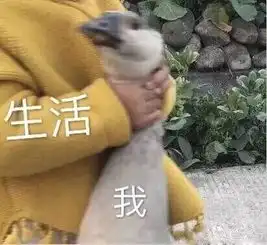  降雨大风降温今天最低气温仅2,更可怕的是...