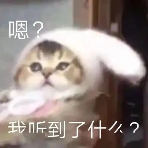  最近手头有点紧