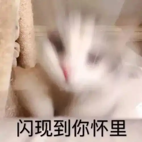  情侣撒娇撩人表情包你的江湖多远我都来