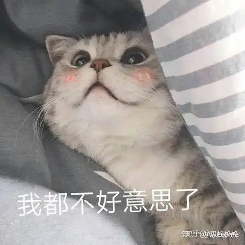 喝奶茶表情包图片猫咪