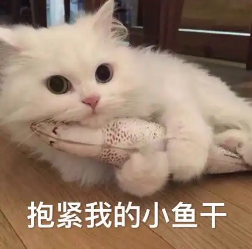  长的或气质像动漫里的角色是什么感受