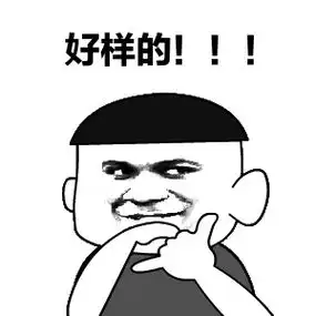  你在朋友圈晒雪景,它却已被冰封多少流浪猫熬不过冬天