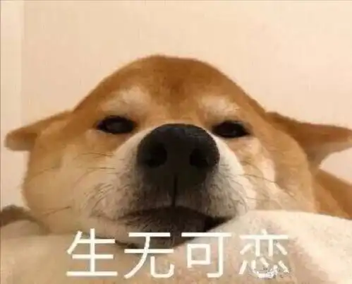 伸懒腰表情包可爱gif狗