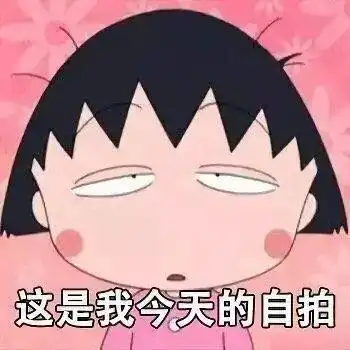  表情包这是我今天的自拍