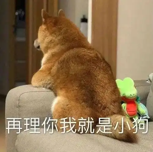  贱兮兮柴犬表情包