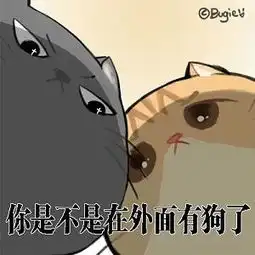  在外面有猫了表情包高清无水印你是不是在外面有猫了表情包v1.0最新版腾牛下载