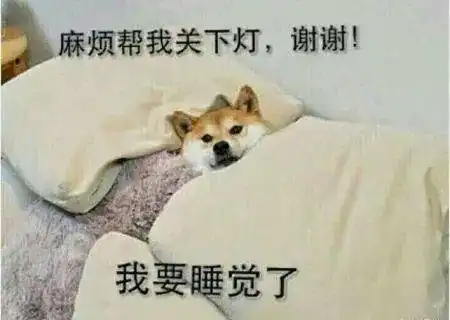  考完啦仙游这群可爱的人解放了每一帧都令人感动...