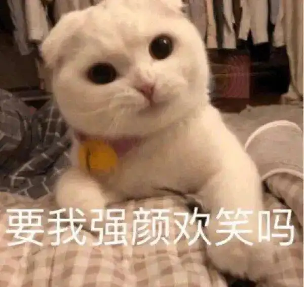  沉浸式做猫能有多爽原来这就是快乐星球