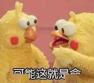  今日立夏,长春公园的郁金香开了假期最后一天,赏花去