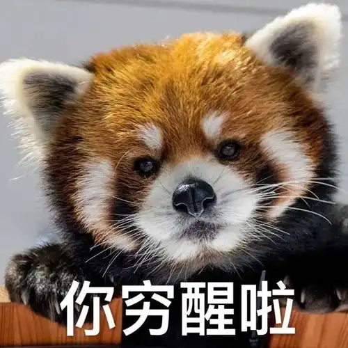 表情包开心什么意思小熊