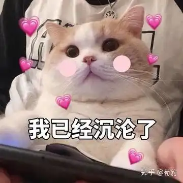  2021网恋靠谱吗有没有小众且高质量的社交网络软件推荐