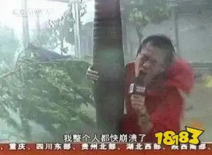  我整个人都快崩溃了表情包