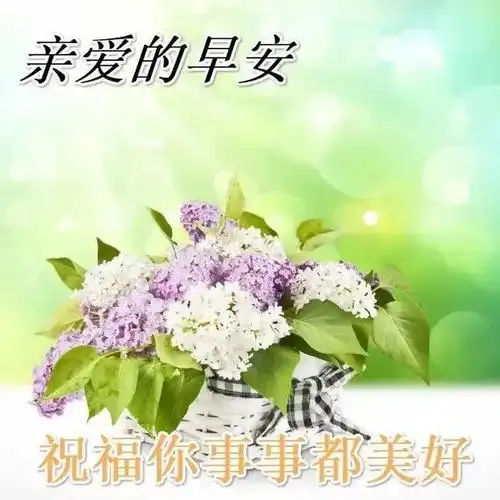  冬季周末早上好的问候语图片早上好表情带祝福句子