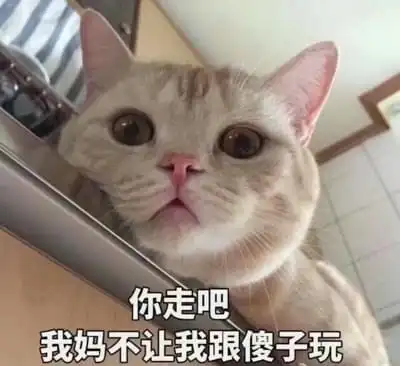 猫咪开心表情包我没有